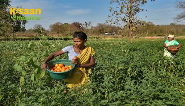 भारत का खाद्य खुदरा बाजार 2023 तक 62 लाख करोड़ रुपये का आंकड़ा: SBI Ecowrap
